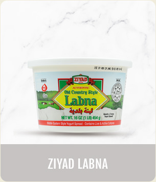Ziyad Labna